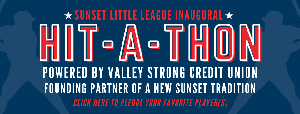 HIT-A-THON FUNDRAISER