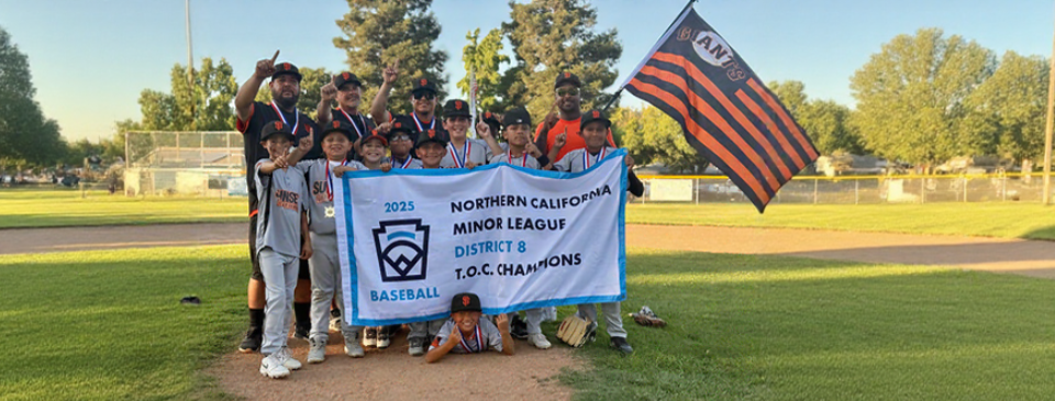 DISTRICT 8 MINOR DIVISION CHAMPIONS